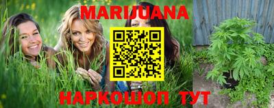 сатива Жуковский