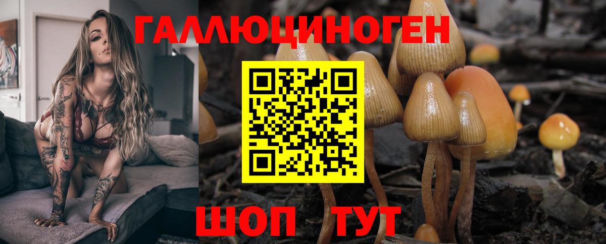 Галлюциногенные грибы Cubensis  Вход с VPN  Всеволожск 